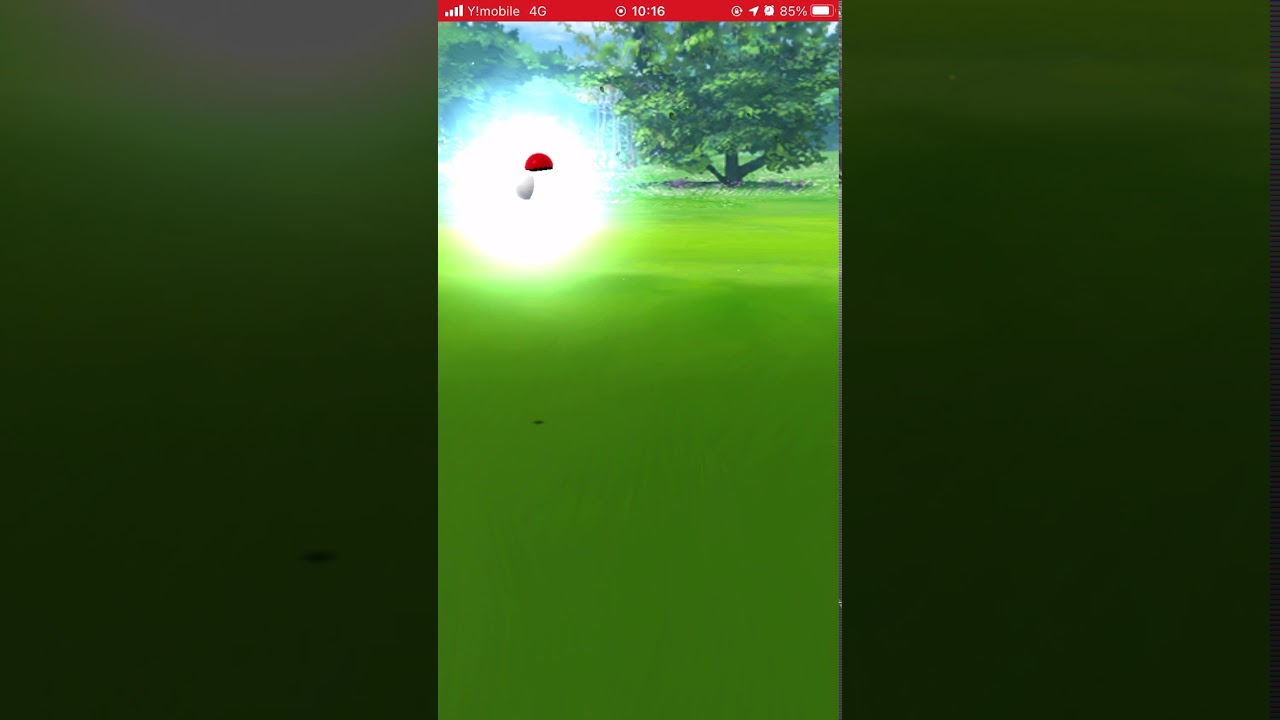 【ポケモンGO】今日の一匹目はなかなか捕まらないホルビー