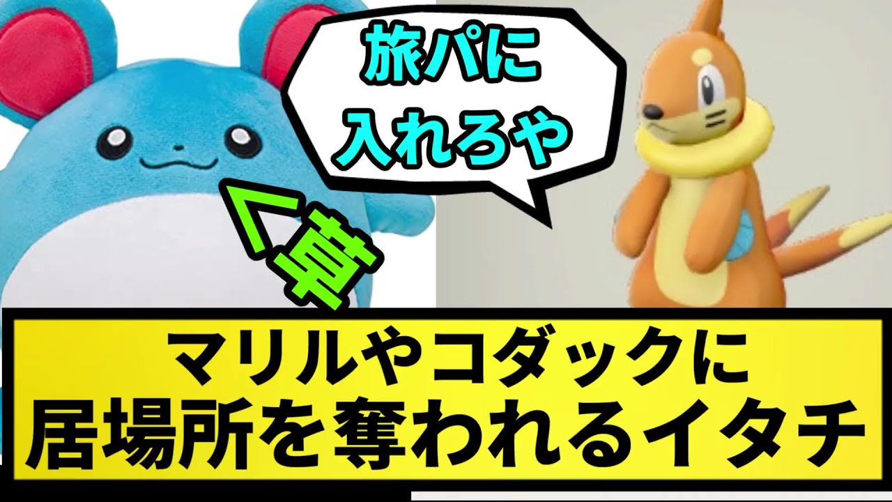 【ブイゼル】マリルやコダックに居場所を奪われるイタチ【なんJ反応】【ポケモン反応集】【ポケモンSV】【5chスレ】【ゆっくり解説】