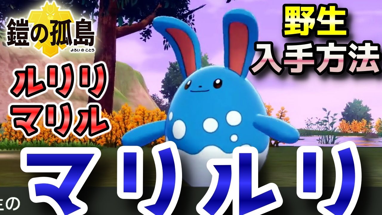 【鎧の孤島】『ルリリ・マリル・マリルリ』野生での出現場所・入手方法！進化条件も実況解説【ポケモン剣盾】ニャン速ちゃんねる