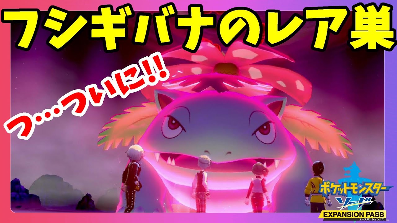 【ポケモンソードシールド】フシギバナのレア巣！？ついに図鑑完成！鎧の孤島【エキスパンションパス】