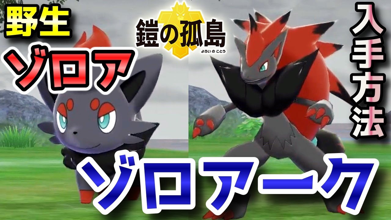 【鎧の孤島】『ゾロア・ゾロアーク』野生での出現場所・入手方法！進化条件も実況解説【ポケモン剣盾】ニャン速ちゃんねる