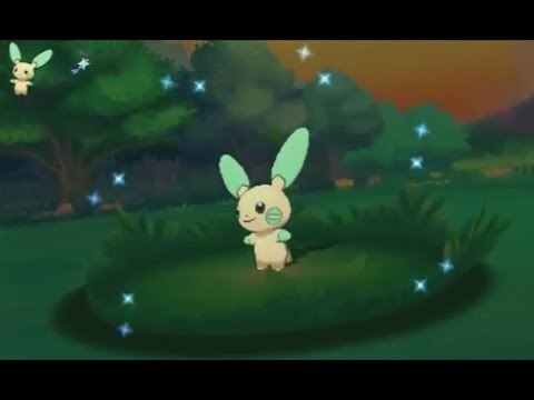 3DS【ポケモン ORAS】 shiny Minun 色違い マイナン 色違 負電拍拍