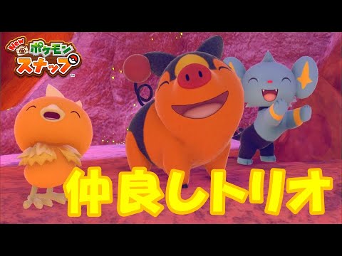 夜のカラリ荒野はアチャモのお友達がいっぱい【Newポケモンスナップ/ゆっくり実況】