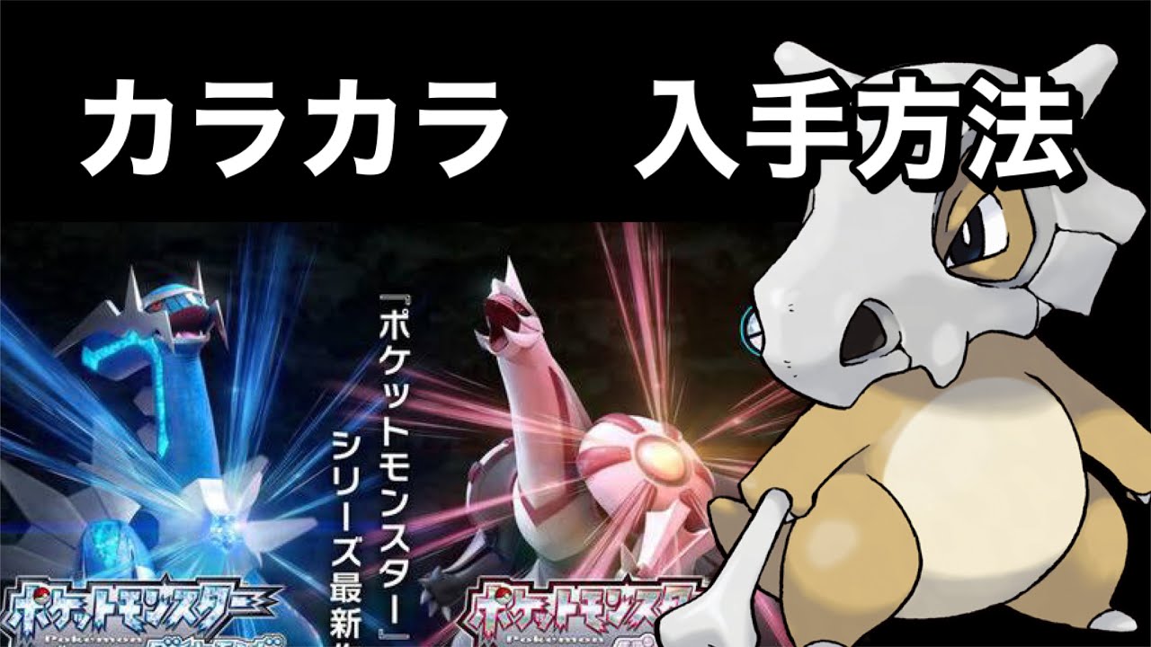 【ポケットモンスター ブリリアントダイヤモンド・シャイニングパール】カラカラ入手方法　ダイパリメイク攻略動画