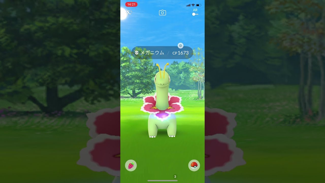 【ポケモンGO】野生のメガニウム Wild pokemon Meganium #shorts