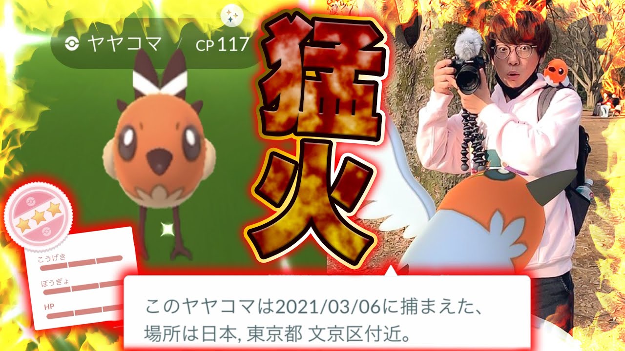 【ポケモンGO】猛火のように燃え盛れ!!ヤヤコマのコミュニティデイ!!色違いから100%を狙って代々木公園で丸一日ガチるぜ!!【PokémonGO】