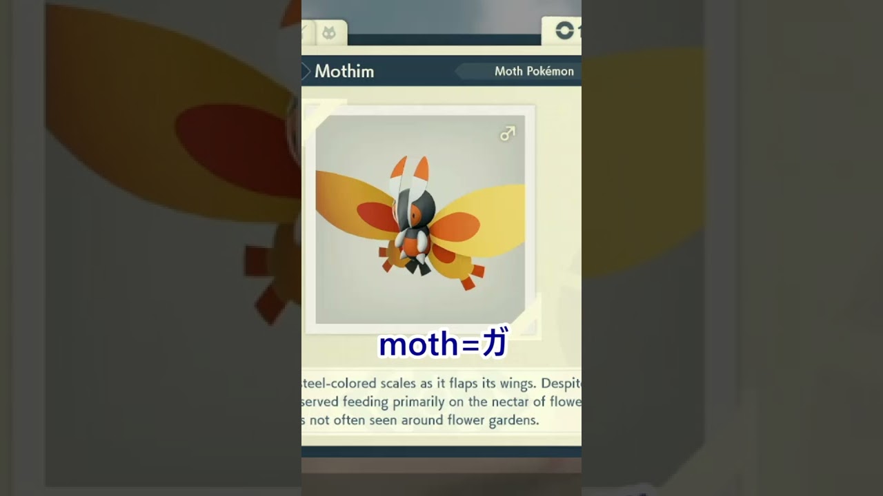 【ポケモンで楽しく英単語】ガーメイルの英語名は？　#shorts