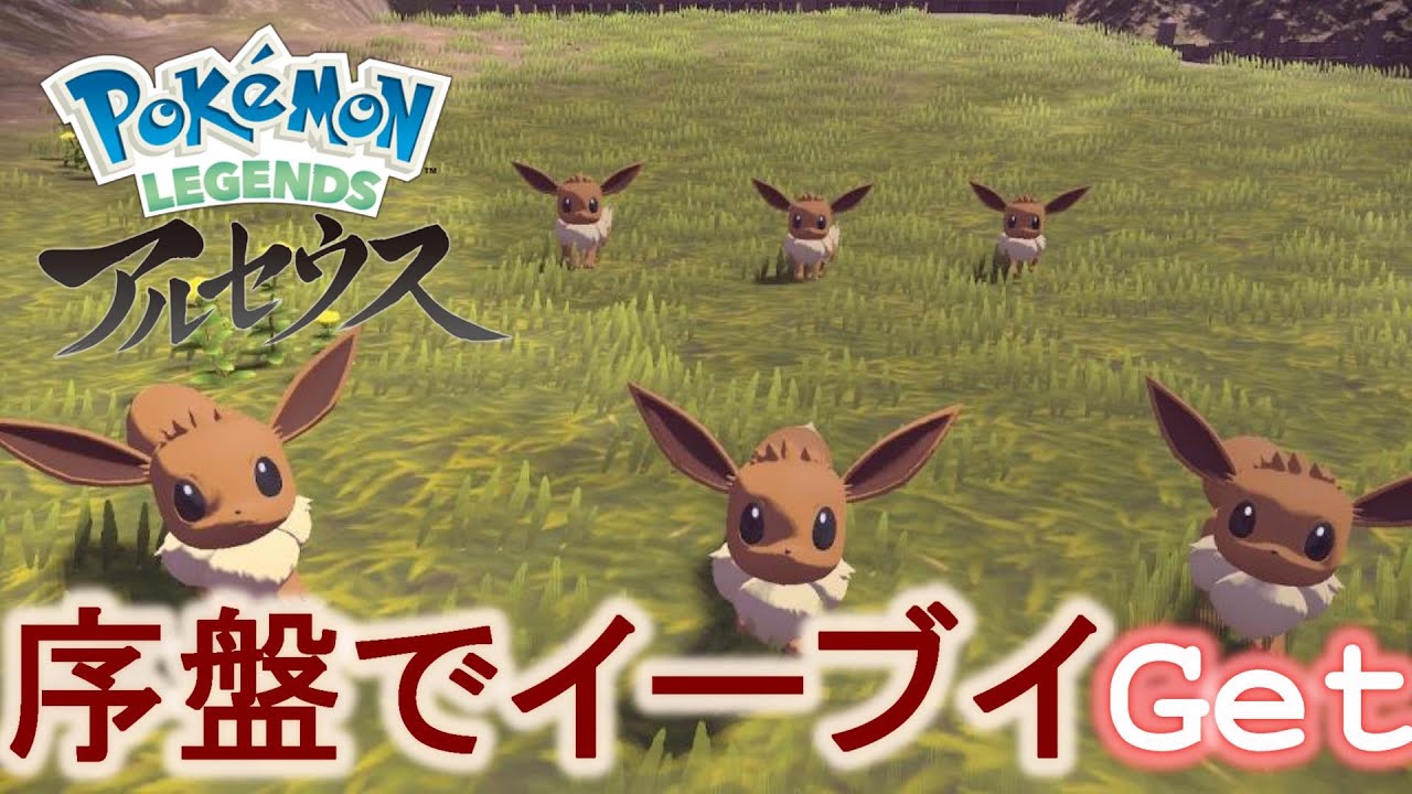 【レアポケモン】序盤でイーブイゲット！時々マネネ【Pokémon LEGENDS アルセウス】
