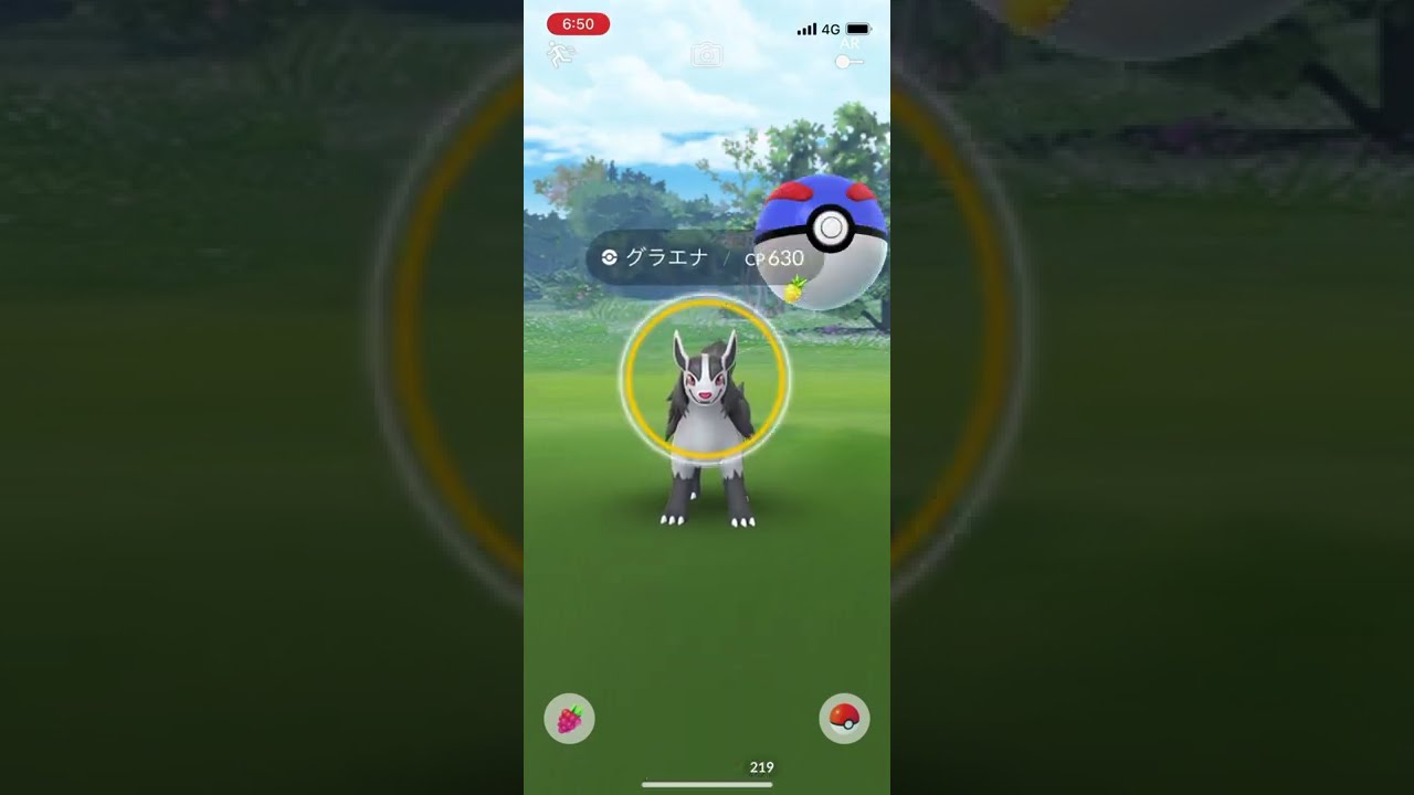 ポケモンgo 野生のグラエナ　ゲットチャレンジ