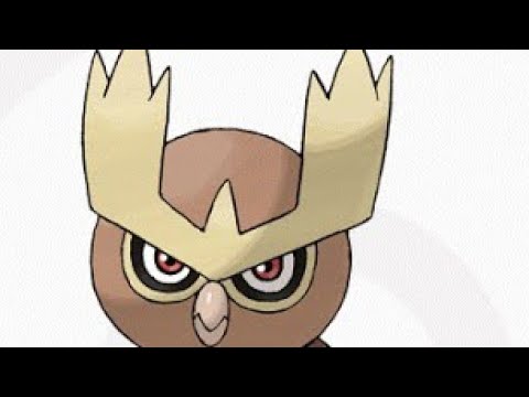 実写【ポケモン剣盾】野生のヨルノズクが飛び出してきた