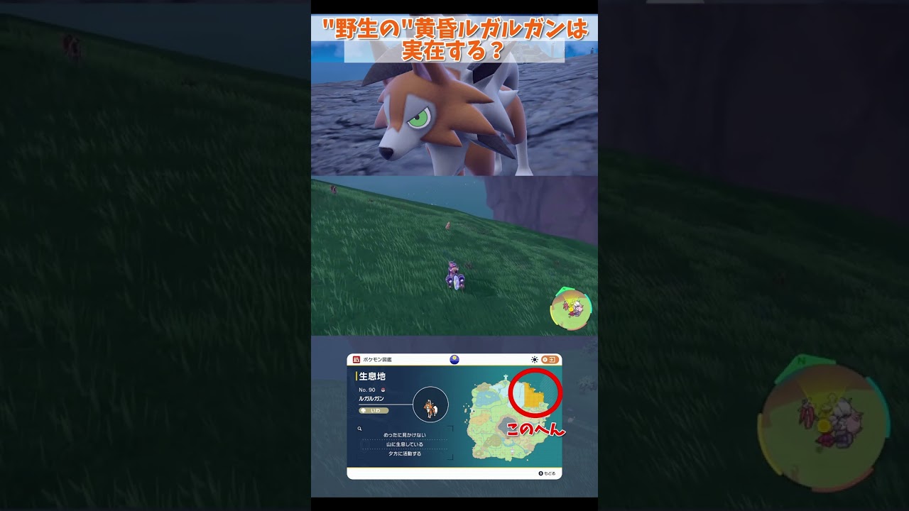 【ポケモンSV】"野生の"たそがれルガルガンは実在する？【#shorts 】