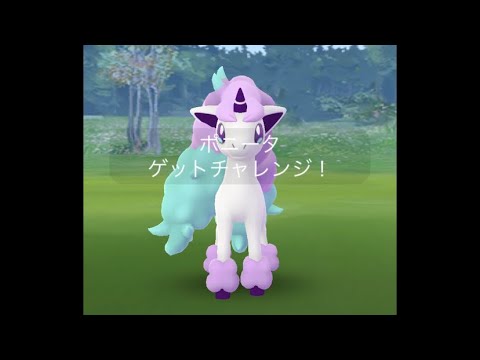 ポケモンgo ガラルポニータレイドバトルとゲットチャレンジ