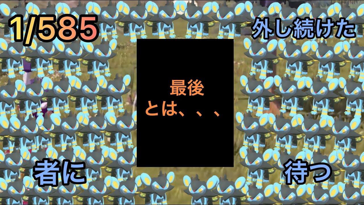 オヤ色ルクシオ1／585を外しまくった結果w w w【ポケモンレジェンズアルセウス】