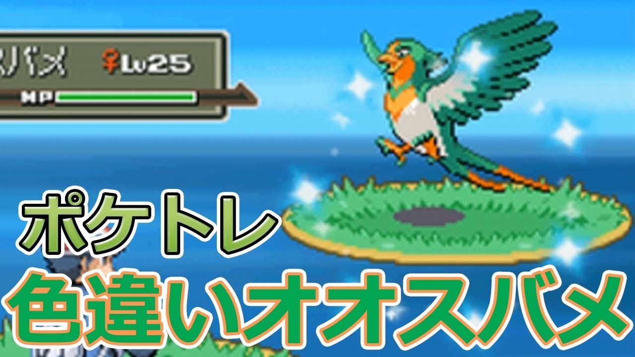 【ポケモンPt】ポケトレで色違いオオスバメゲット！【ポケモンプラチナ】