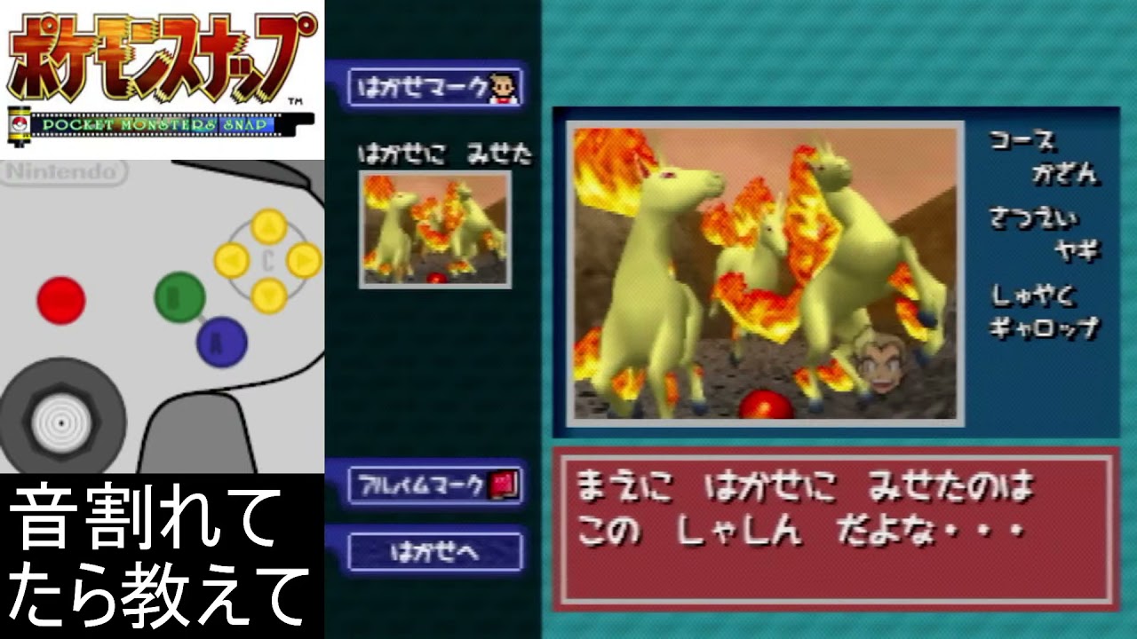 【ポケモンスナップ】ギャロップ5590点