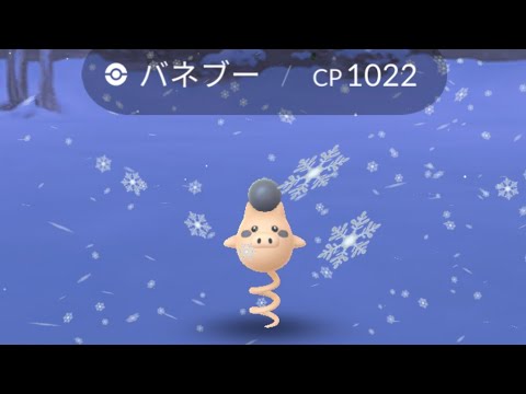 色違い バネブー 二匹目GET！！