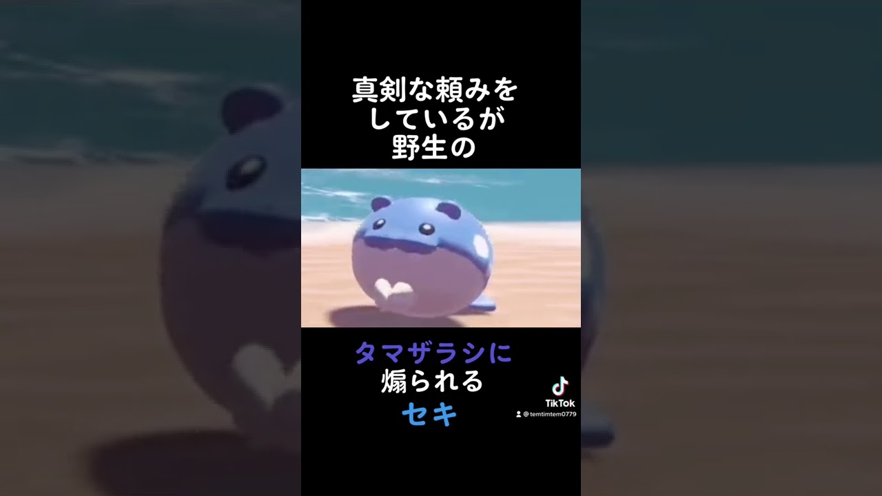 タマザラシに煽られるセキ#アルセウス #ポケモン #shorts ＃タマザラシ