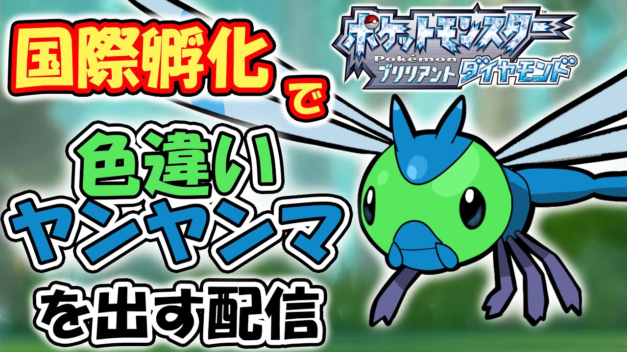 【ダイパリメイク】国際孵化で色違いヤンヤンマをだしたい男