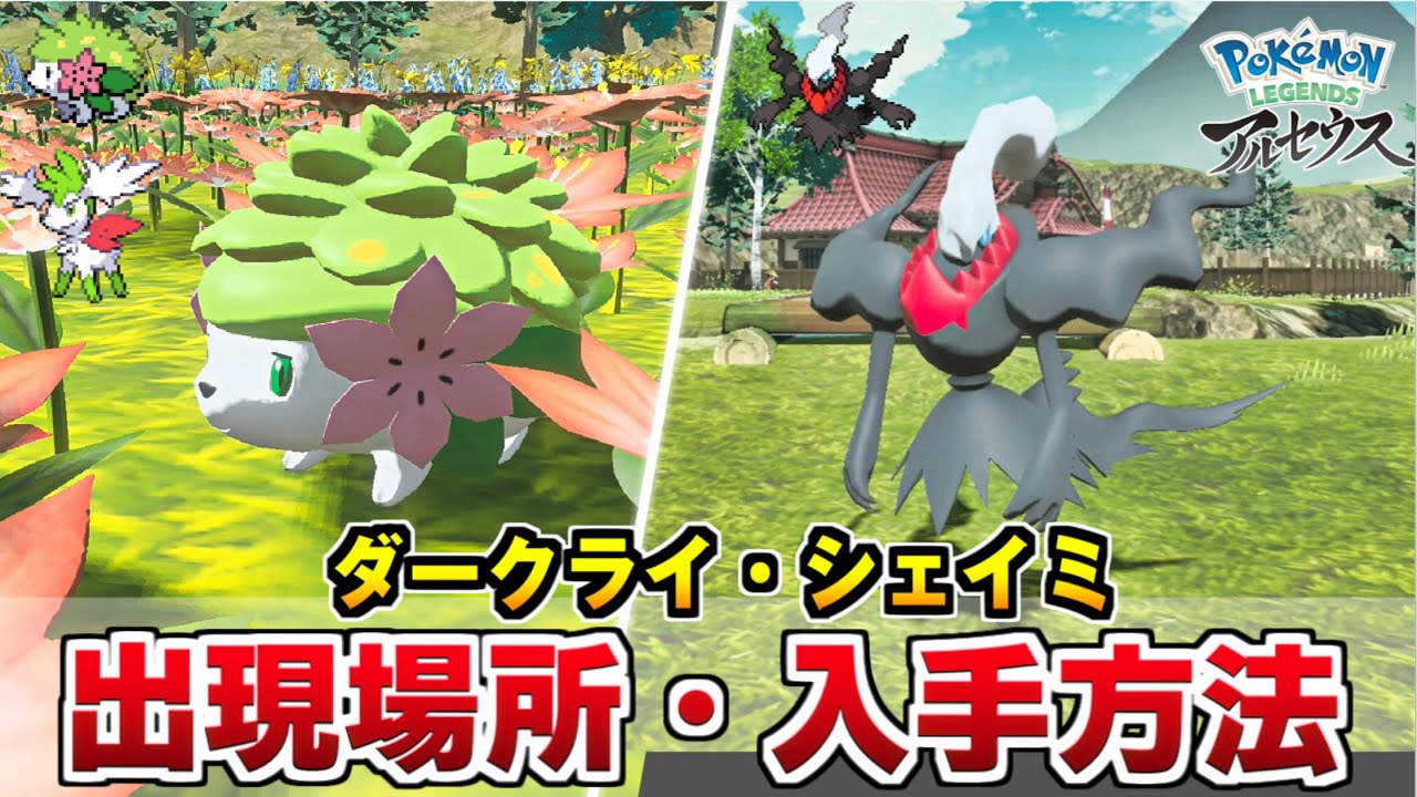 【ポケモン アルセウス】ダークライ・シェイミの入手方法 剣盾/BDSP連動特典/伝説のポケモン【ポケモン Pokémon LEGENDS アルセウス】
