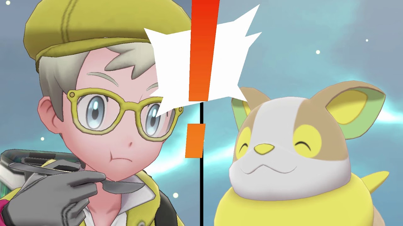 ワンパチと戯れるだけの動画