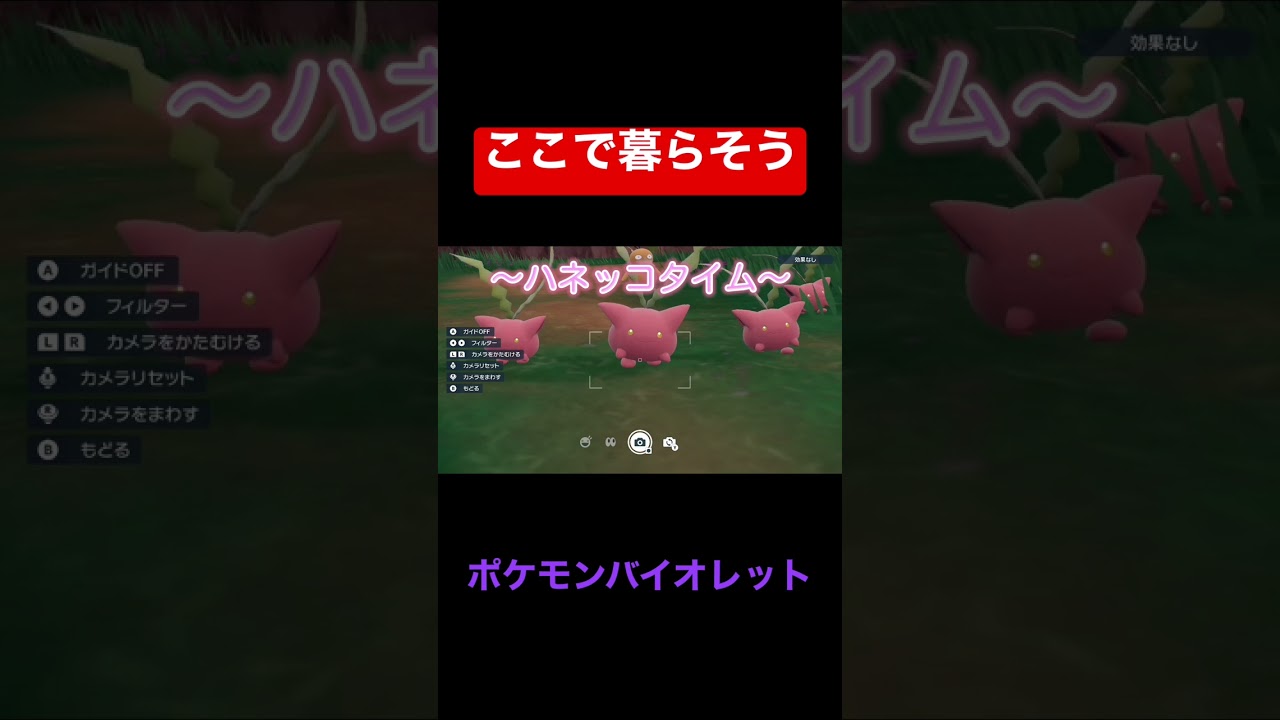 ハネッコからワタッコまで全部かわいい