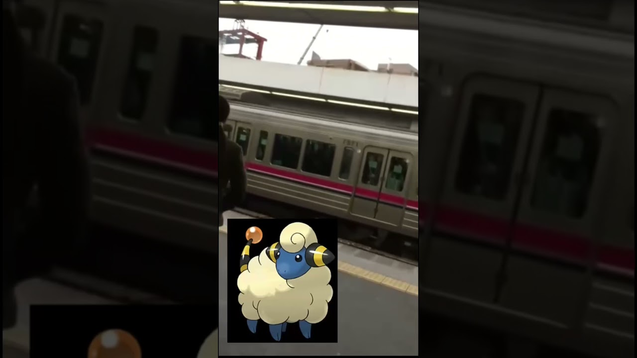 メリープみたいな鳴き声で鳴く京王線