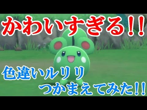 【ダイパリメイク】かわいすぎる！！色違いルリリつかまえてみた！！
