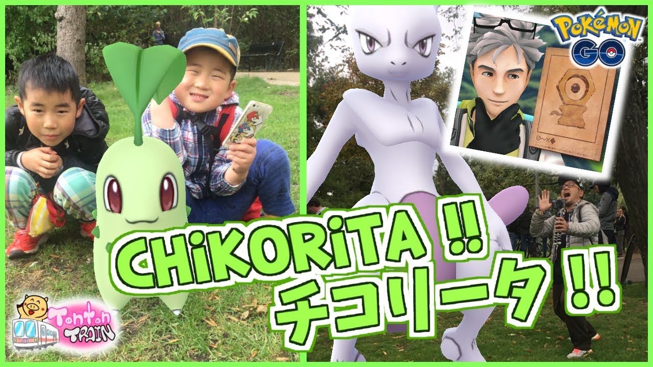 【Pokémon GO in NL】CHIKORITA !! MEWTWO AND MELTAN in POKÉMON GO! チコリータ！ミュウツー! メルタン!【オランダでポケモンGO】