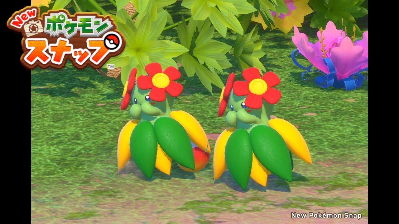 キレイハナかわいいキレイハナかわいいキレイハナかわいいキレイハナかわいい【New ポケモンスナップ】#5