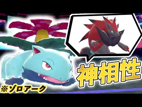 初心者にこそ使ってほしい！ 『ゾロアーク×フシギバナ』が超使いやすいぞ！！【ポケモン剣盾/鎧の孤島】