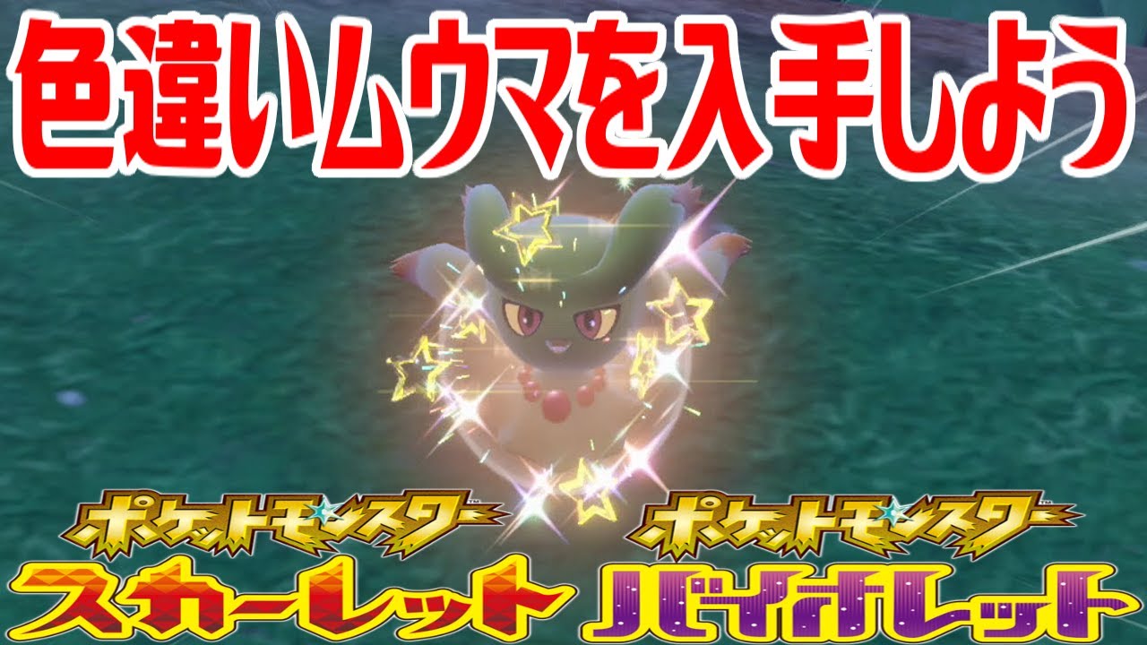 【ポケモンSV】色違いムウマを入手しよう【ポケットモンスター スカーレット・バイオレット】Pocket Monsters