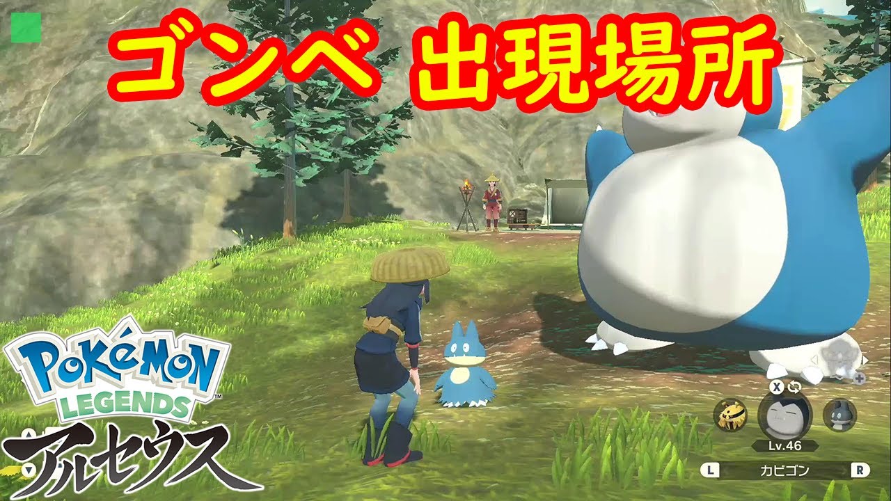 【ゴンベ】出現場所 入手方法 攻略  【Pokémon LEGENDS アルセウス ポケモン レジェンズ アルセウス】