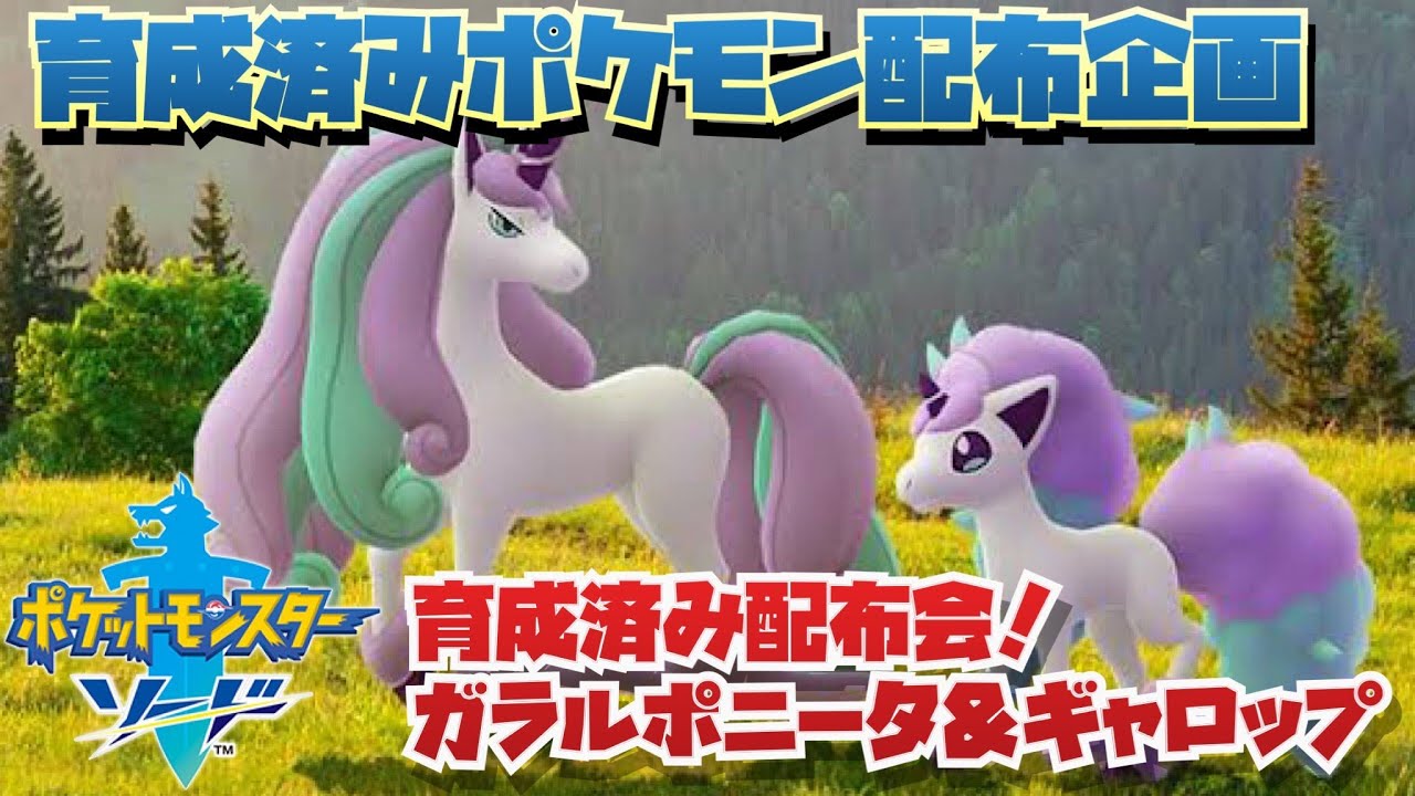 剣盾　育成済み配布企画！シールド限定ガラルポニータ計７6匹を配布！おまけの育成済みもあるよ！概要欄必読