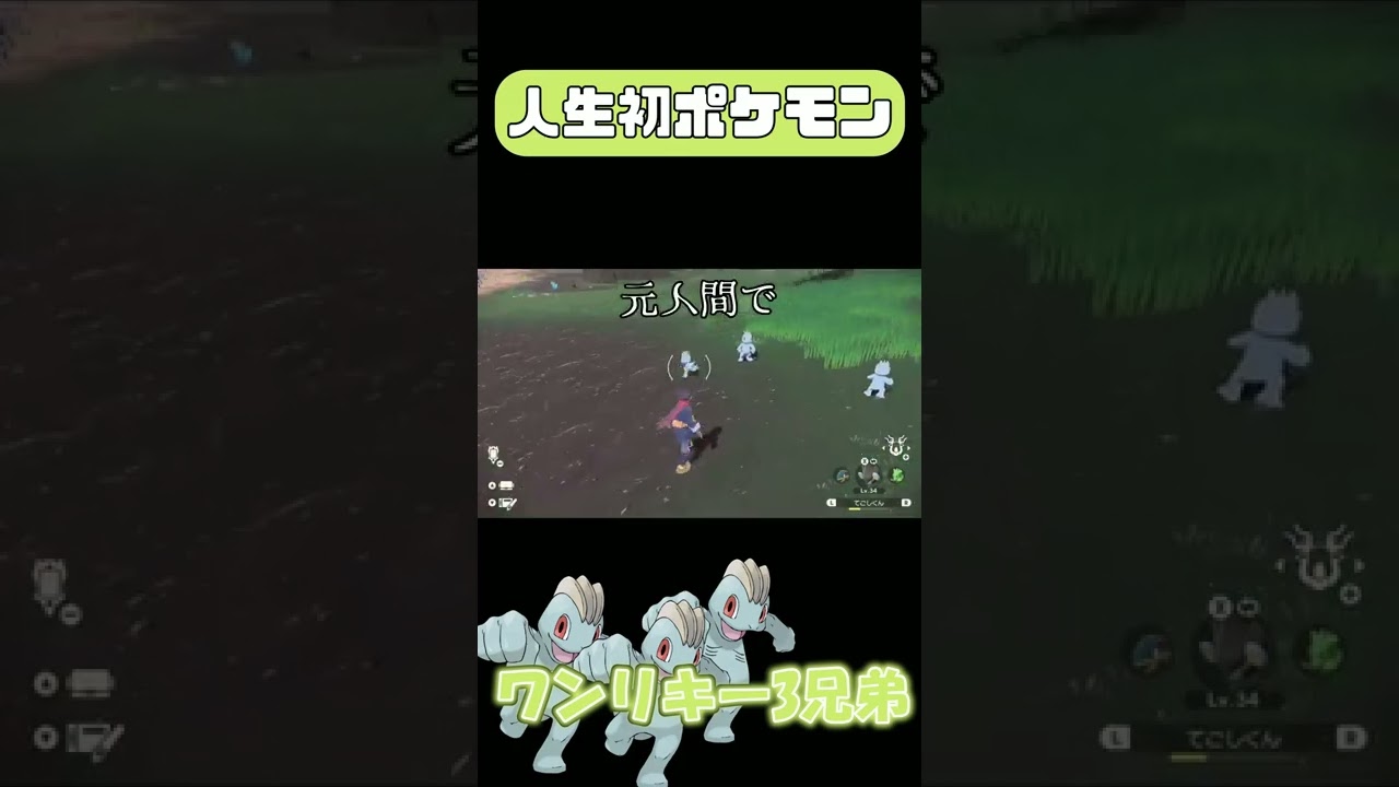 何故か襲ってこないワンリキー三兄弟が可愛い！【人生初ポケモン】 #shorts #ポケモン