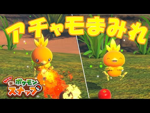 レンティル地方のアチャモに会いに行く【Newポケモンスナップ/ゆっくり実況】