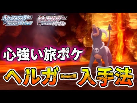 【旅パの救世主】超簡単ヘルガー入手法！！【ポケモンBDSP/ダイパリメイク】