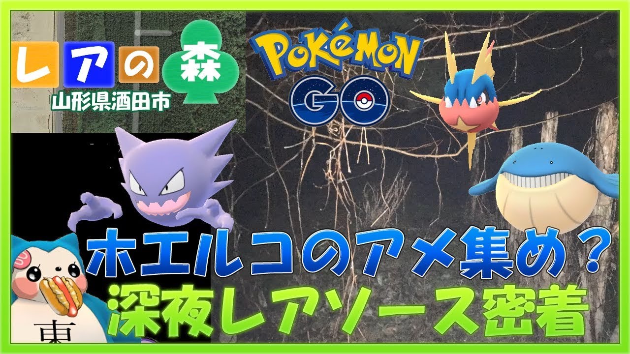 【ポケモンGO】ホエルコのアメ集め？深夜のレアソース地帯密着ミッション