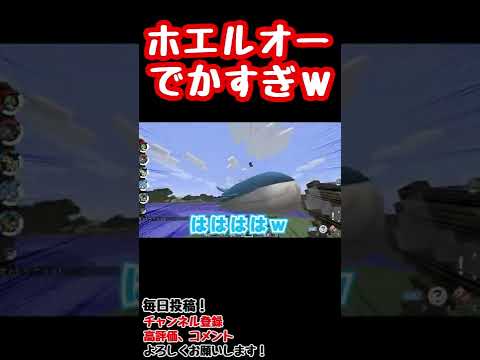 【マイクラ】ホエルオーでかすぎ！！ｗｗ【ポケモン】
