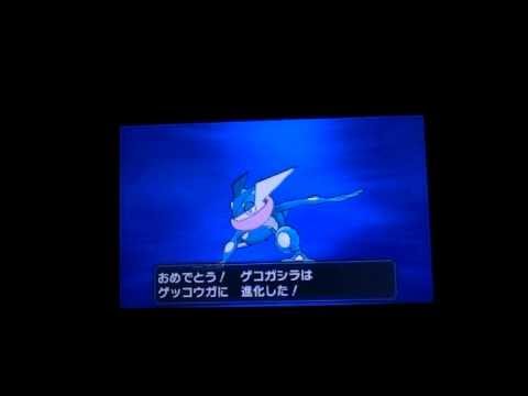 ポケモンXY ゲコガシラ進化 ゲッコウガへ Edwin DuBarrera