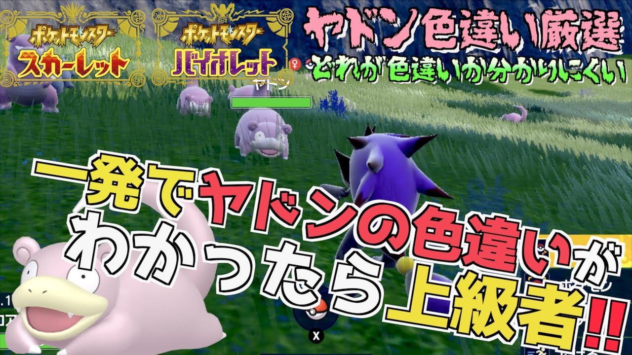 その場で色違い厳選 色違いが分かりにくいヤドンの色違いを最速でゲット方法を紹介。ヤドンの色違いはマジで見分けが一発では分からず難しい。【色違い】【 ポケモンSV 】