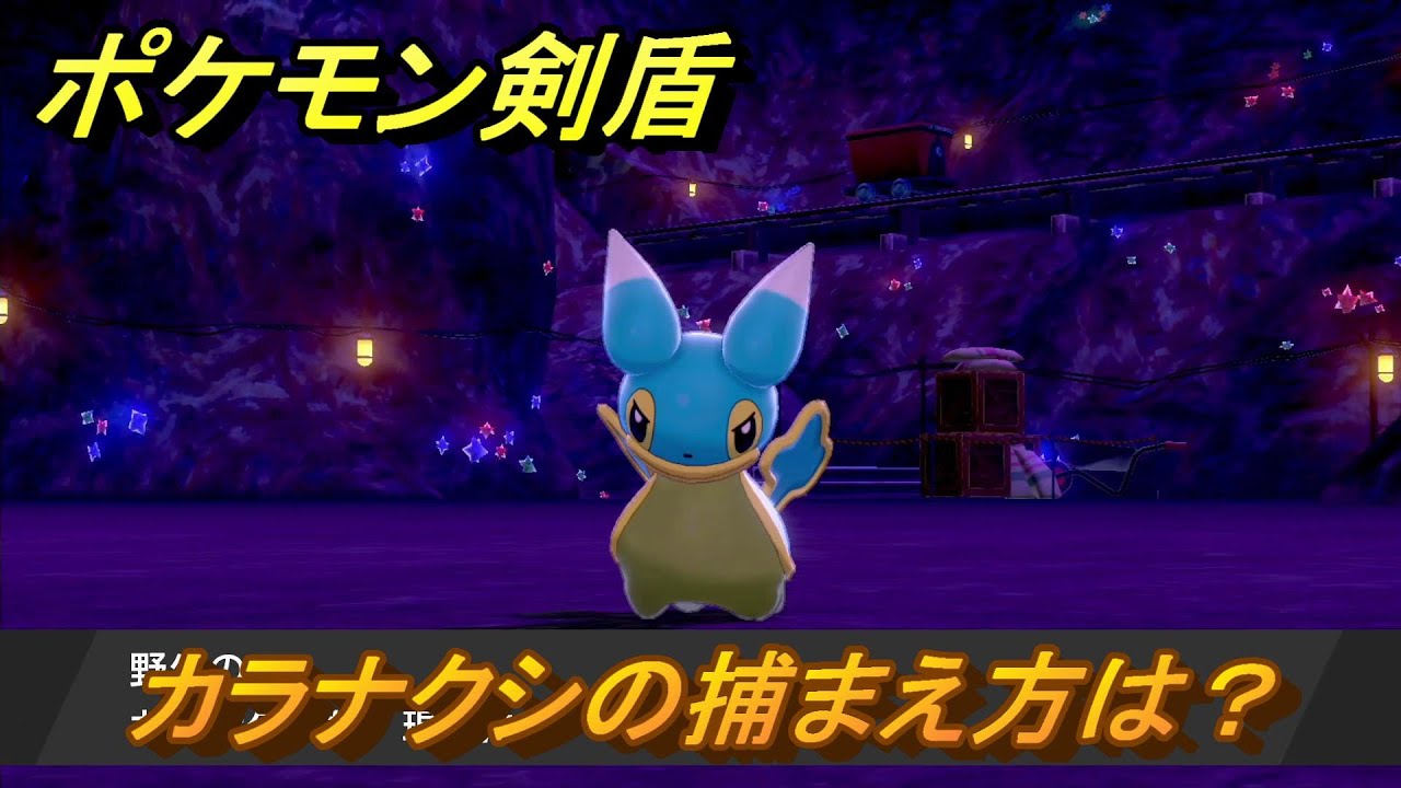 ポケモン剣盾　カラナクシを捕まえる方法！オススメの場所は？天気は？ポケモン図鑑コンプへの道！　最新版【ポケモンソード・シールド】
