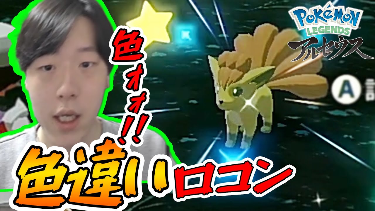 【アルセウス】色違いロコンに配信中遭遇！色違いが欲しいなら大量発生にGO！キュウコンも！リアクション 【ポケモンレジェンズアルセウス】Pokémon Legends アルセウス　しろーん　色違い厳選