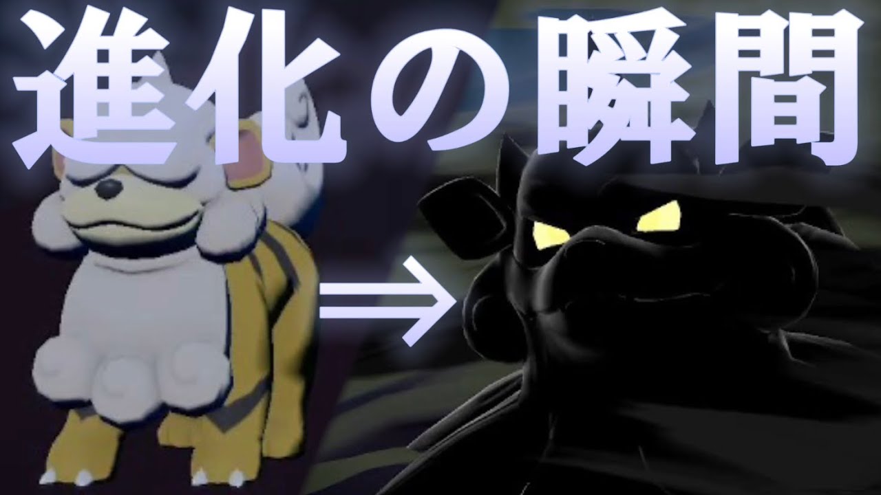 【ヒスイの姿】色違いガーディが色違いウインディに進化する瞬間【Pokémon LEGENDS アルセウス】