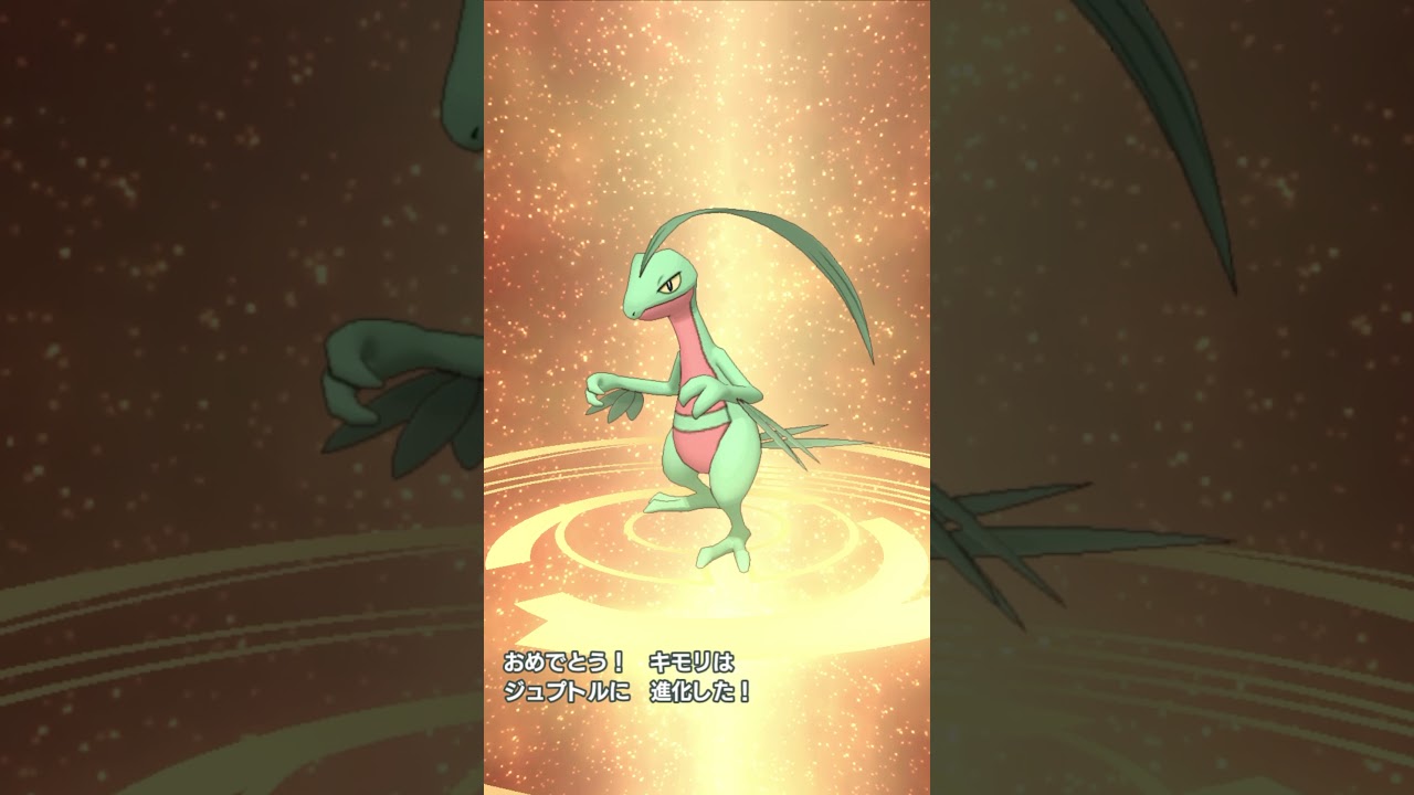 マスターズ  キモリ〜ジュカイン　進化