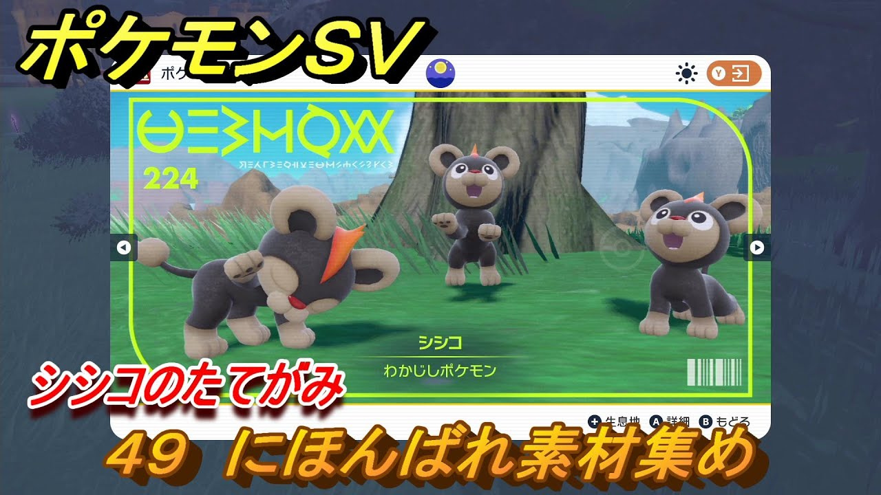 ポケモンＳＶ　わざマシン４９　にほんばれ素材集め　シシコのたてがみの入手方法は？　【スカーレット・バイオレット】