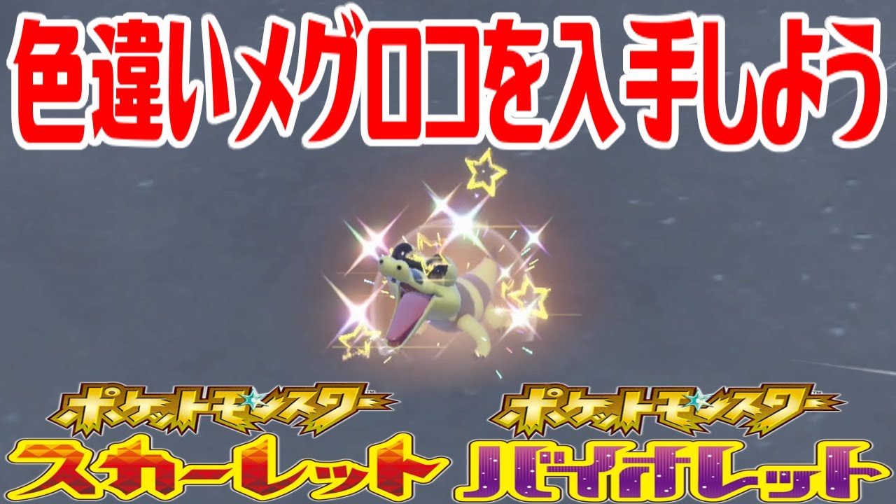 【ポケモンSV】色違いメグロコを入手しよう【ポケットモンスター スカーレット・バイオレット】Pocket Monsters