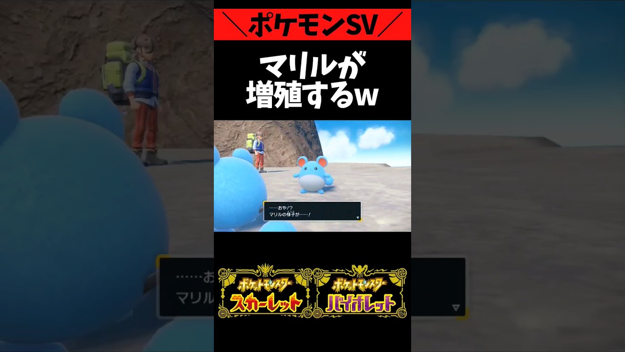 【ポケモンSV】マリルが増殖するwww