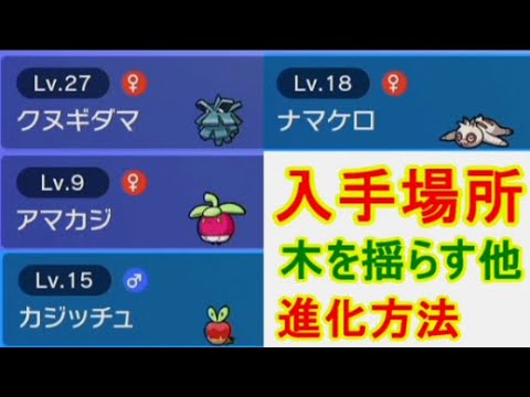 ポケモンSVクヌギダマ・ナマケロ入手場所どこ・アマカジ・カジッチュ進化方法