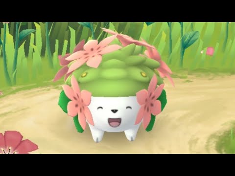 ポケGOフェス✷シェイミ(ランドフォルム)GETチャレンジ✷
