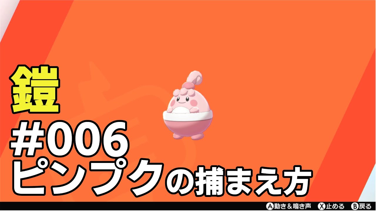 ピンプクを探している方に見てほしい動画